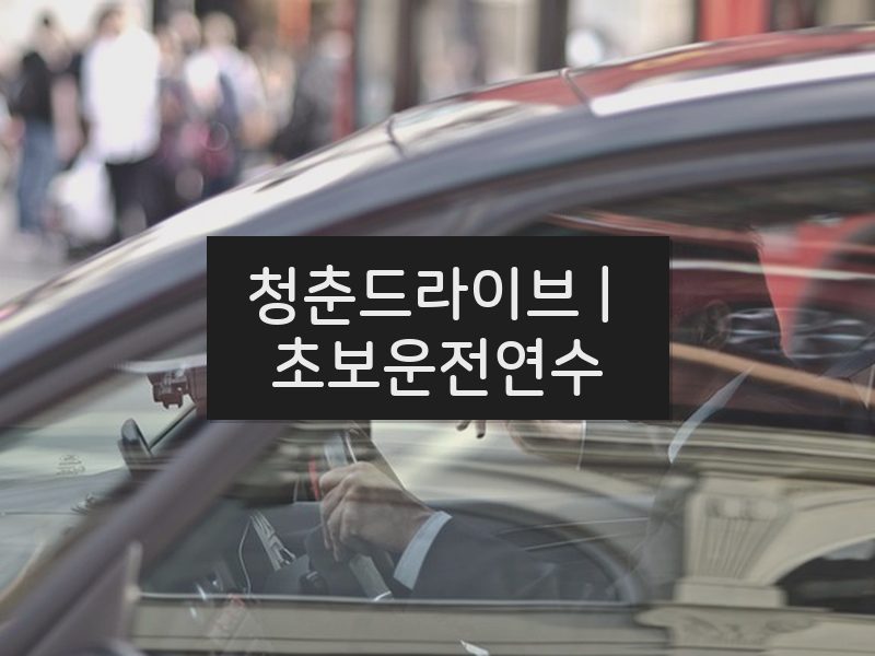 청춘드라이브 | 초보운전연수 후기