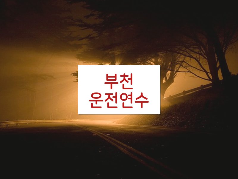부천운전연수 후기