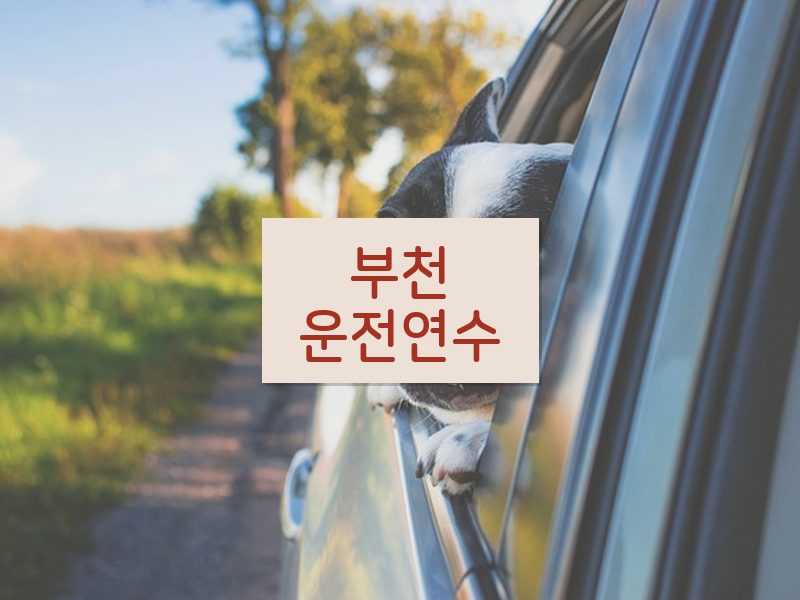 부천운전연수 후기