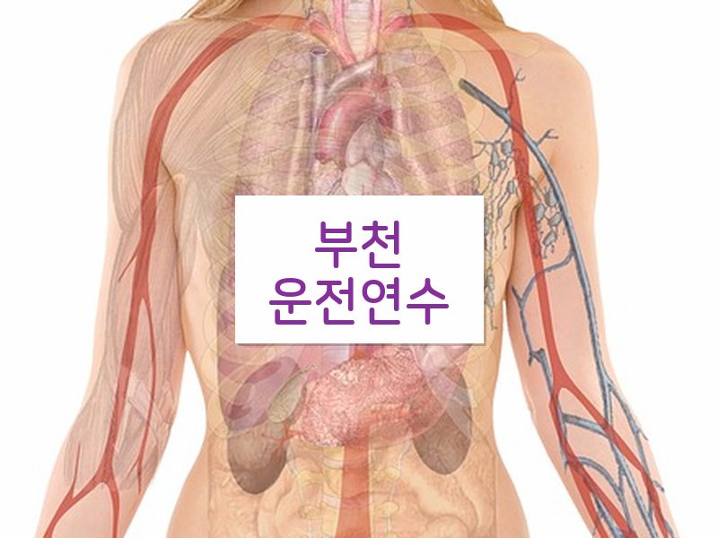 부천운전연수 후기