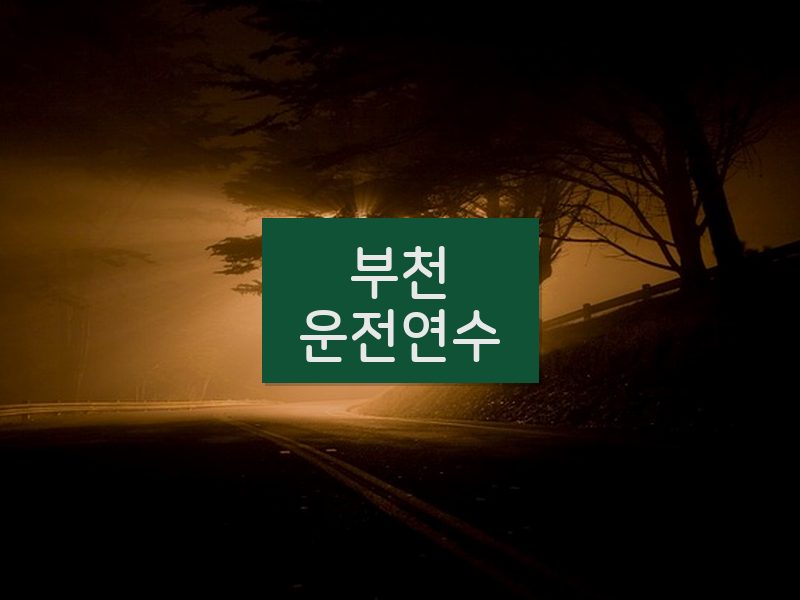 부천운전연수 후기