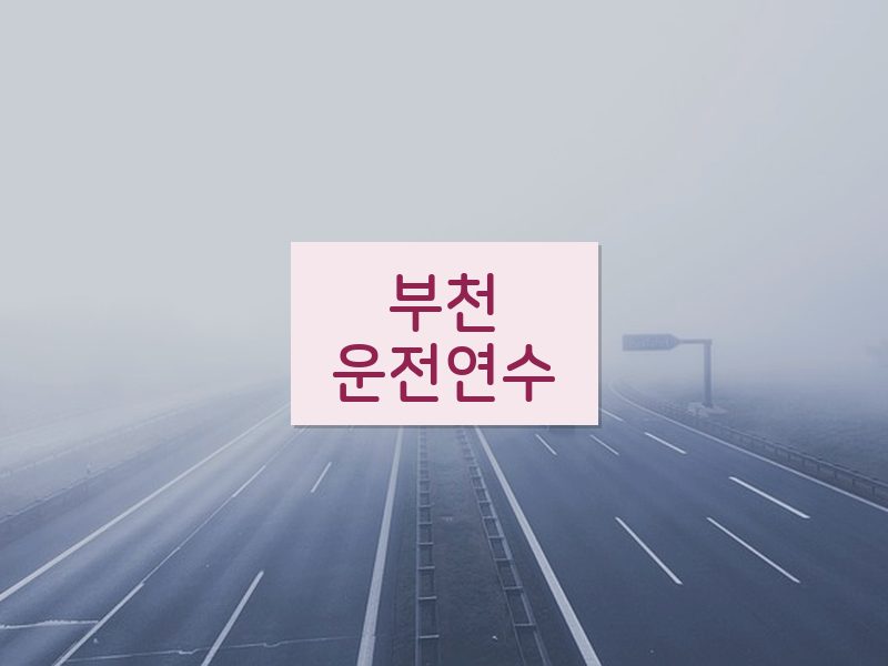 부천운전연수 후기