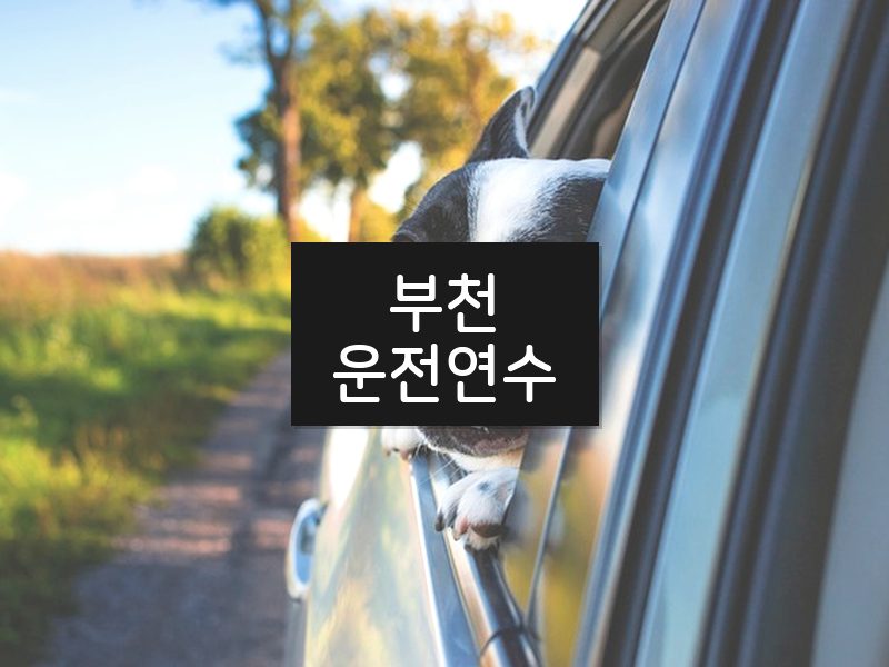 부천운전연수 후기