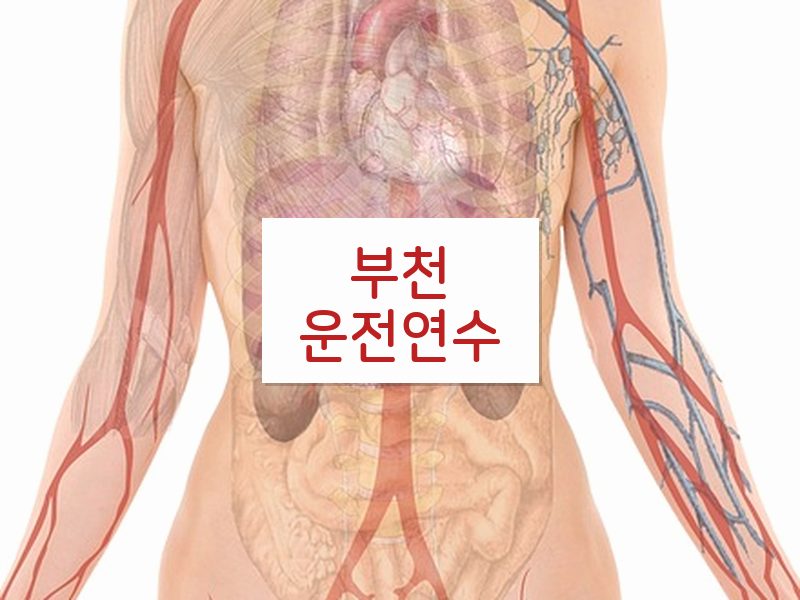 부천운전연수 후기