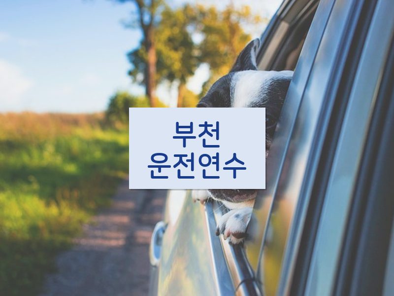 부천운전연수 후기