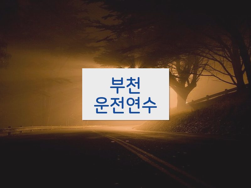 부천운전연수 후기