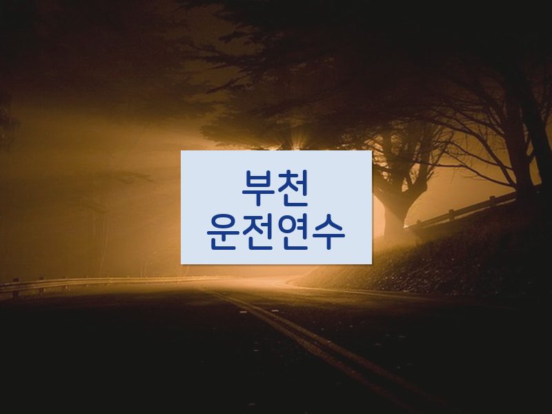 부천운전연수 후기