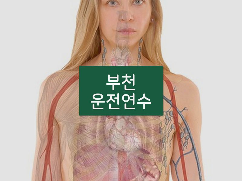 부천운전연수 후기