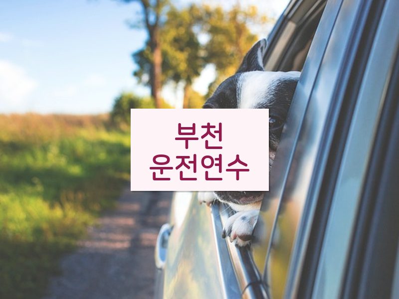 부천운전연수 후기