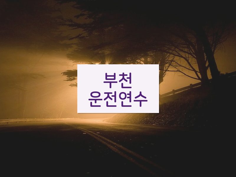 부천운전연수 후기