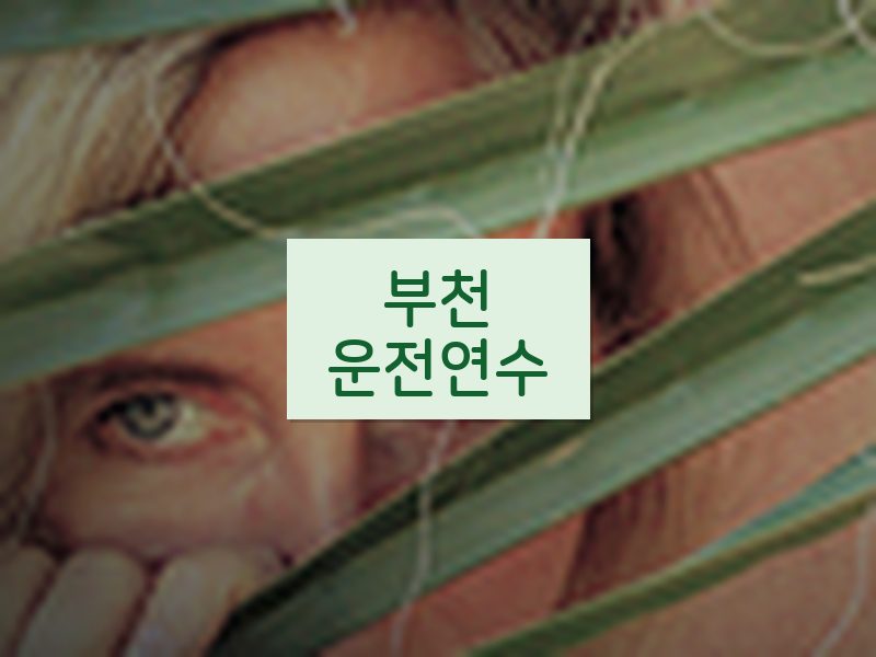 부천운전연수 후기