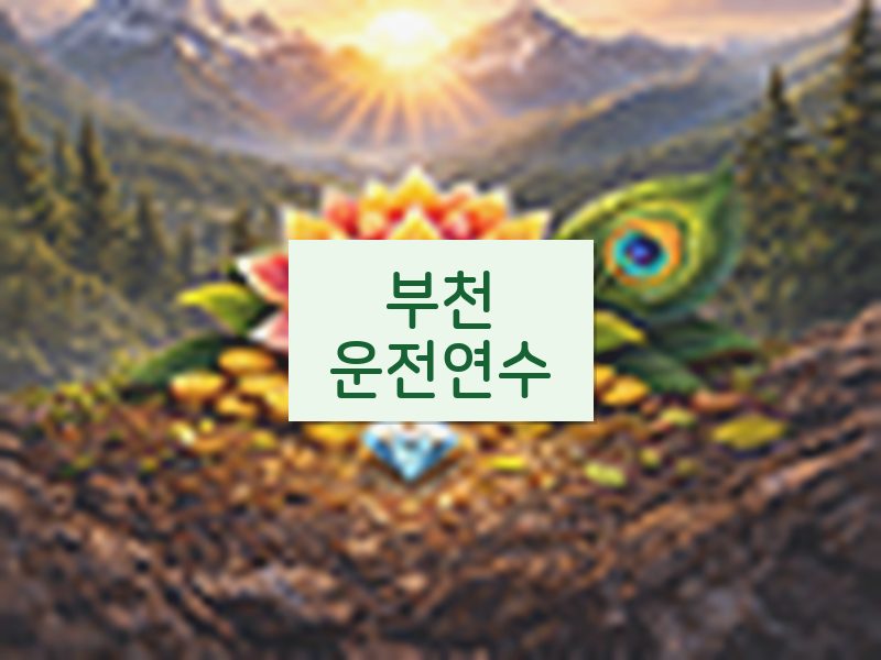부천운전연수 후기