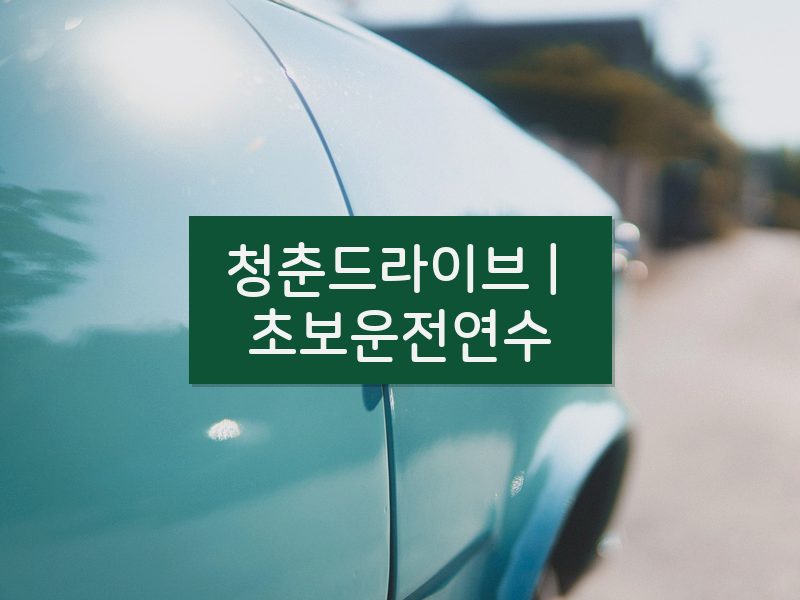 청춘드라이브 | 초보운전연수 후기
