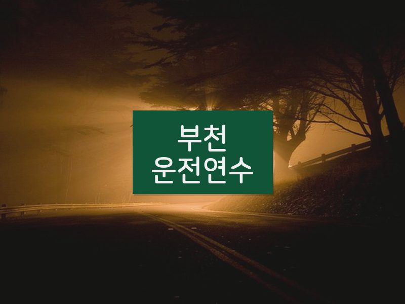 부천운전연수 후기