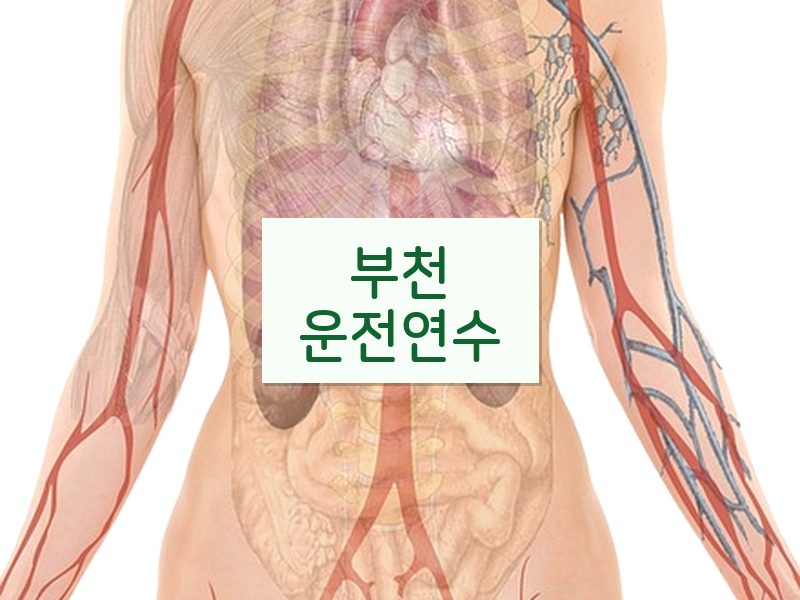 부천운전연수 후기