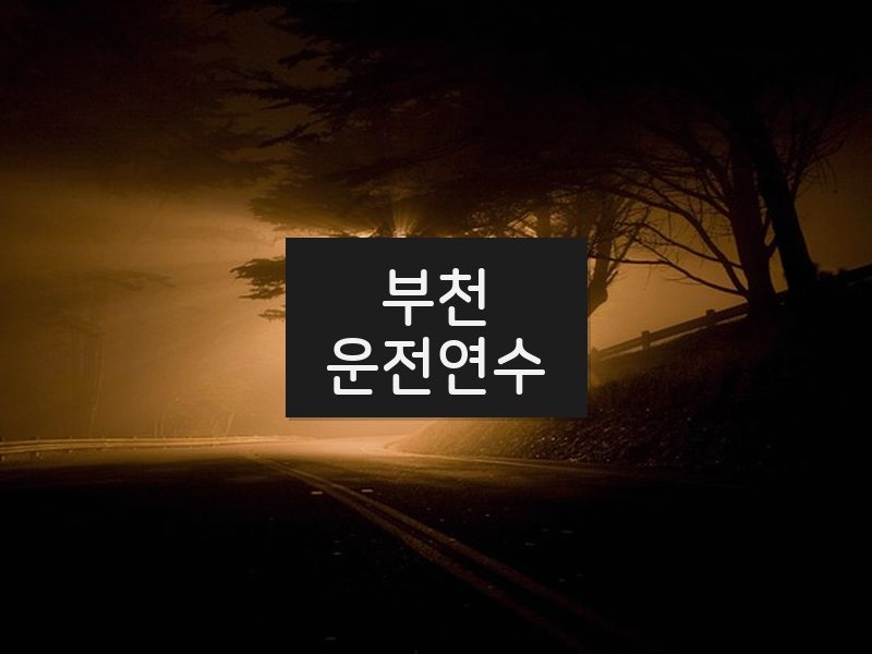부천운전연수 후기