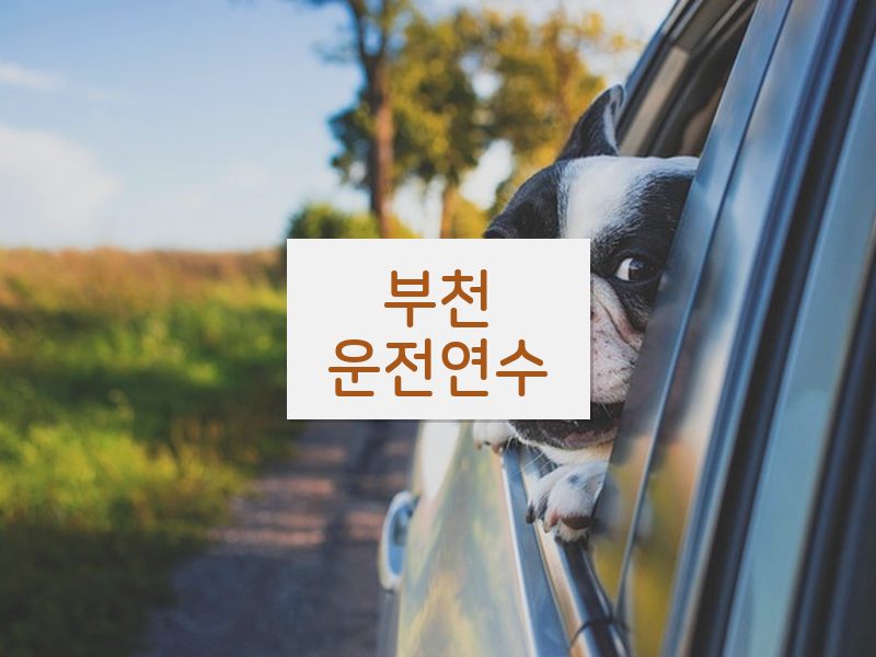 부천운전연수 후기