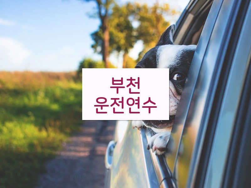부천운전연수 후기