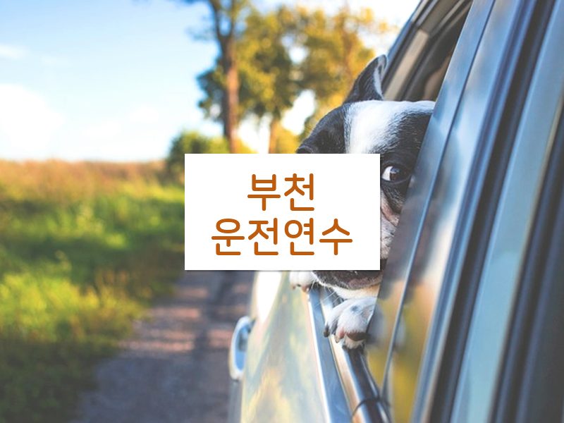 부천운전연수 후기
