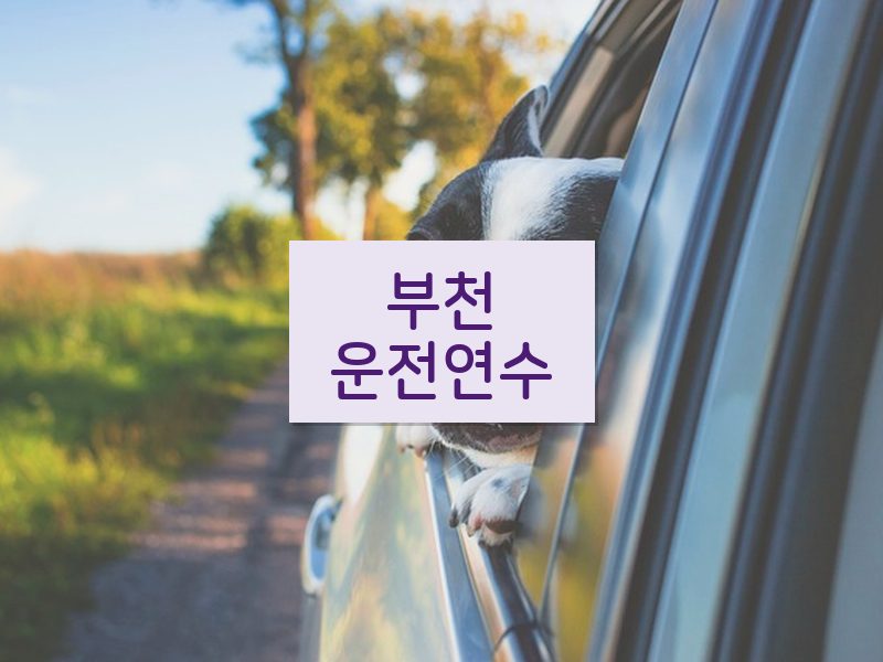 부천운전연수 후기