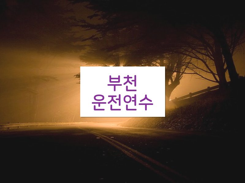 부천운전연수 후기