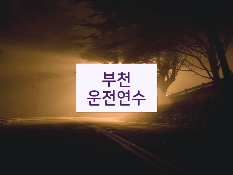 부천운전연수 후기