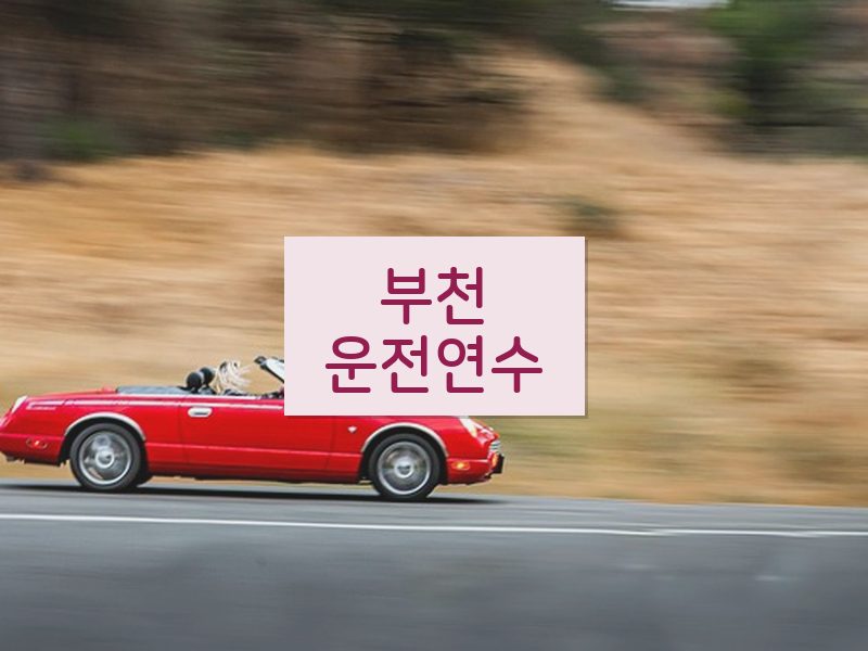 부천운전연수 후기