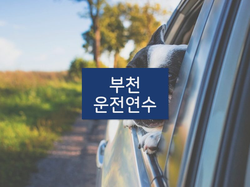 부천운전연수 후기