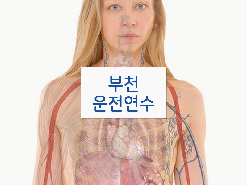 부천운전연수 후기