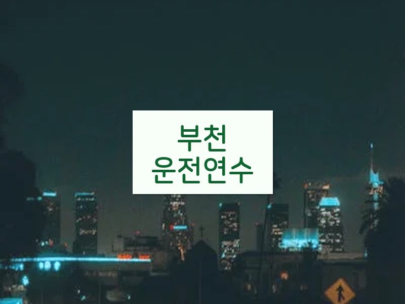 부천운전연수 후기