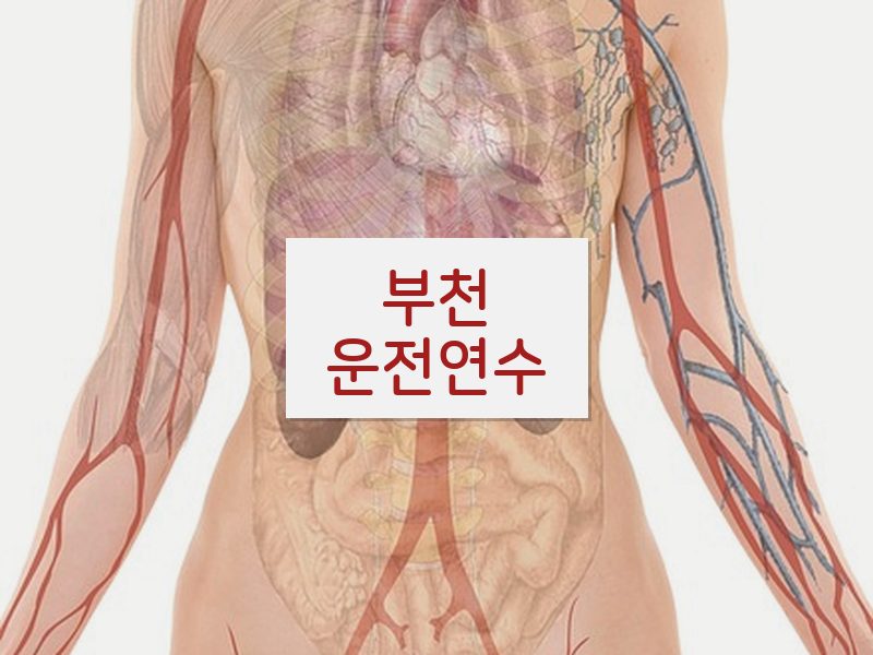 부천운전연수 후기