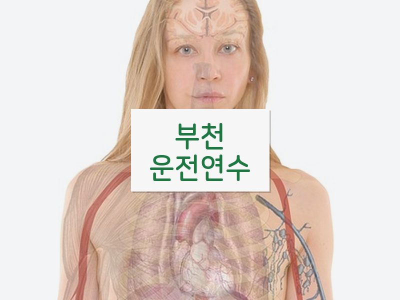 부천운전연수 후기