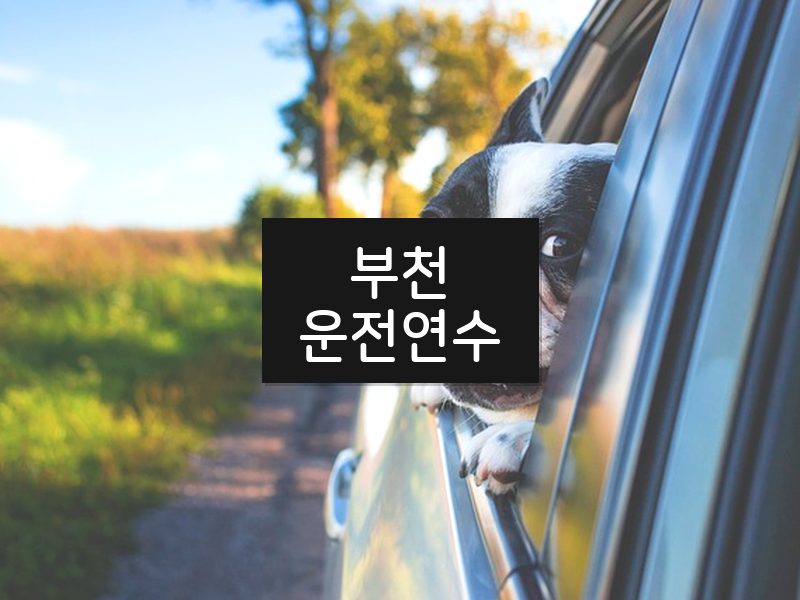 부천운전연수 후기
