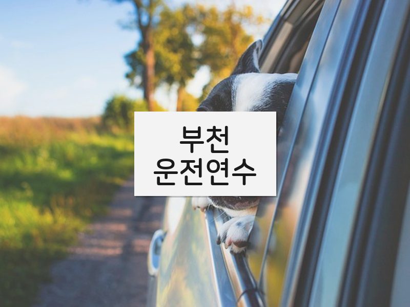 부천운전연수 후기