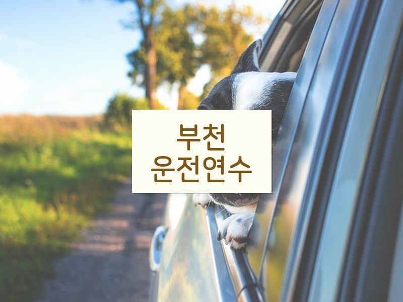 부천운전연수 후기