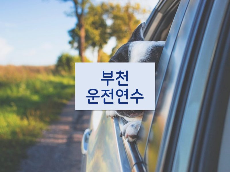 부천운전연수 후기