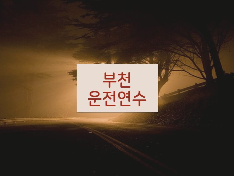부천운전연수 후기