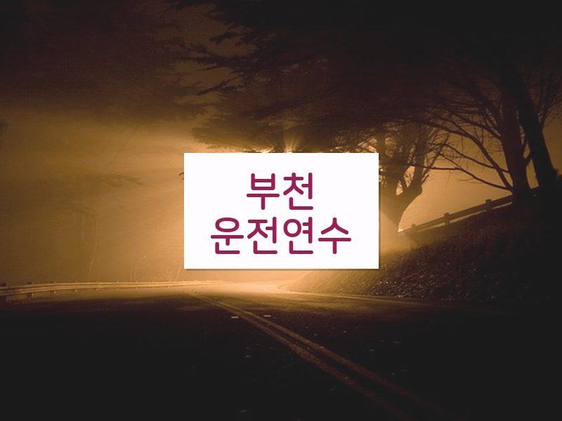 부천운전연수 후기