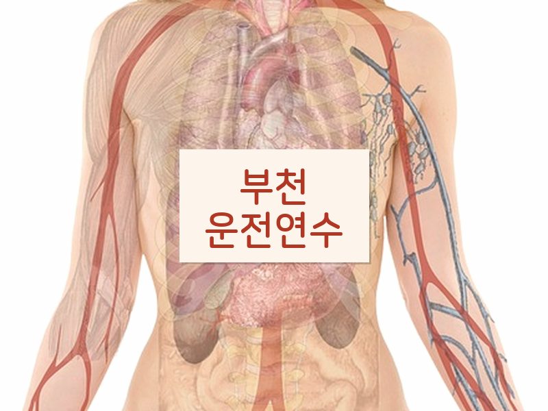 부천운전연수 후기