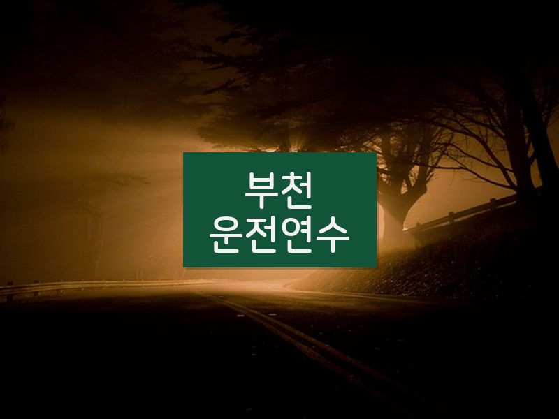 부천운전연수 후기