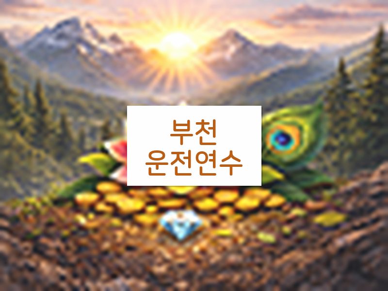 부천운전연수 후기