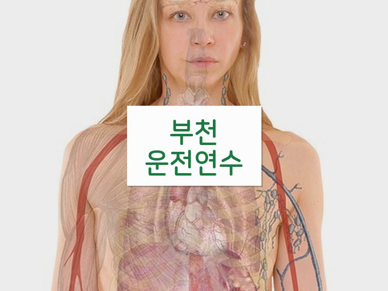 부천운전연수 후기