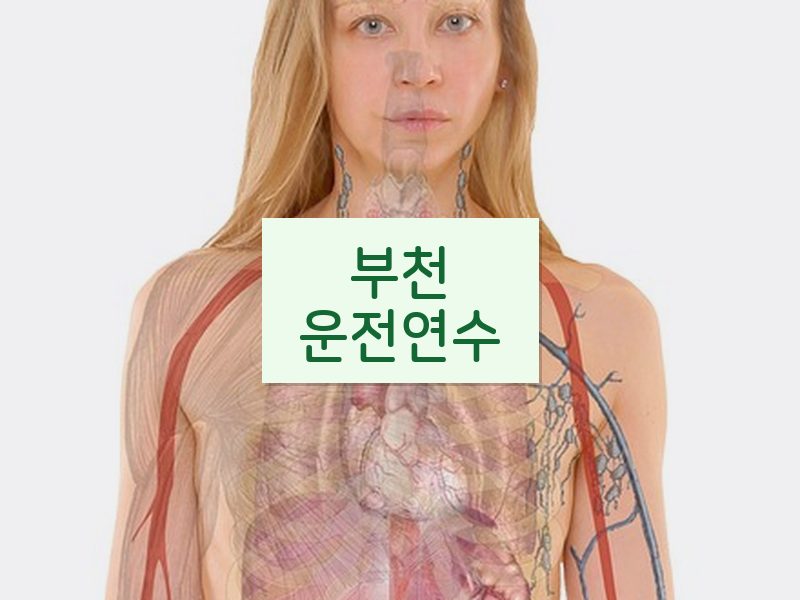 부천운전연수 후기