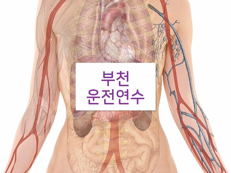 부천운전연수 후기