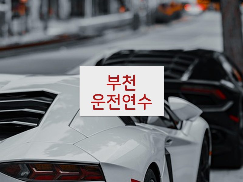 부천운전연수 후기