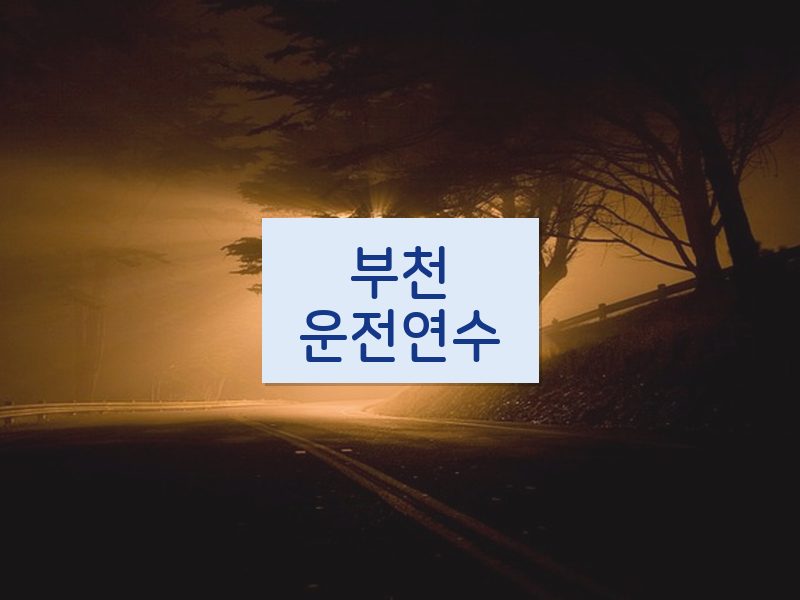 부천운전연수 후기