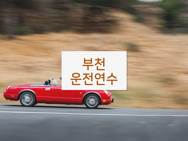 부천운전연수 후기