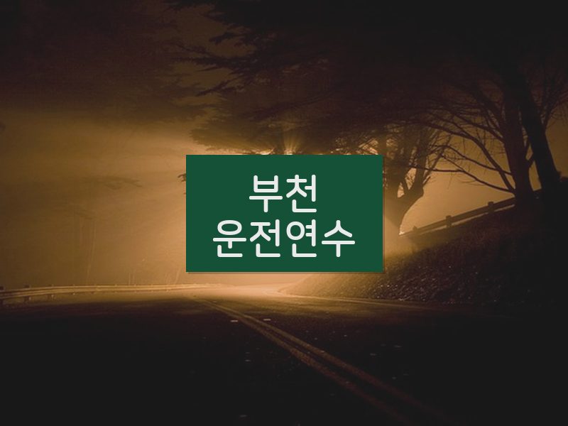 부천운전연수 후기