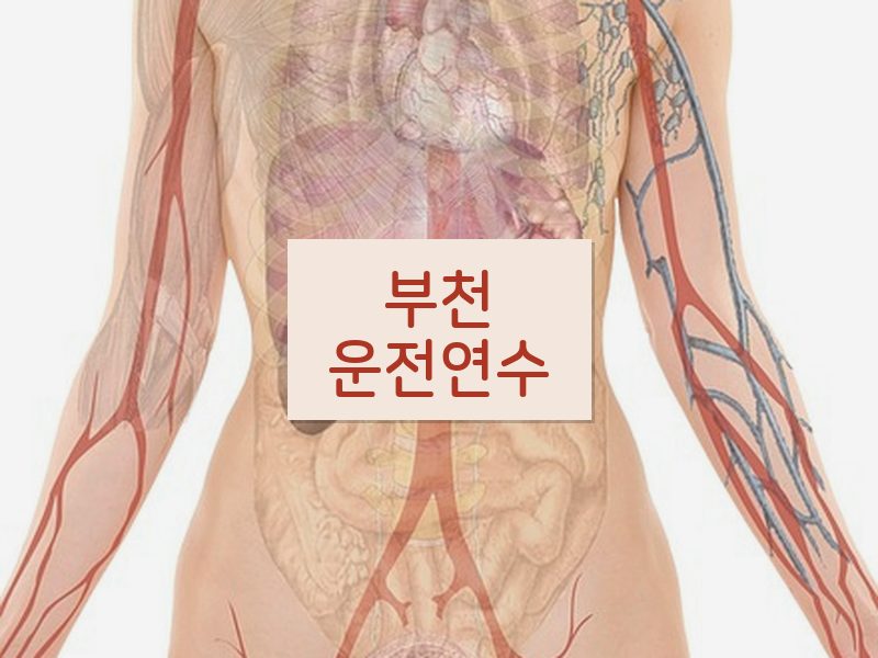 부천운전연수 후기