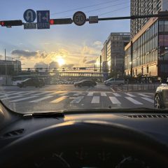 실무 중심 교육